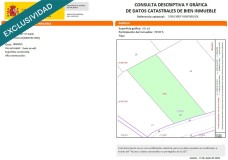 Foto9