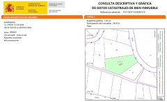 Foto12