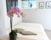 Foto39
