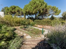 Foto45