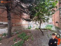 Foto19