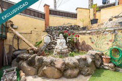 Foto8