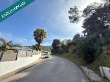 Foto3