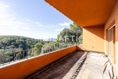 Foto43