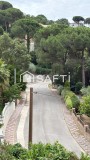 Foto31