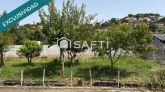 Foto16