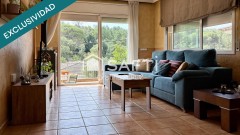 Foto4