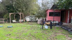 Foto4