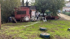 Foto5