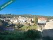 Foto5