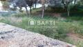 Foto9