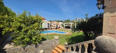 Foto4