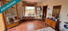 Foto41