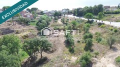 Foto5