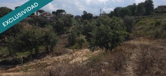 Foto6