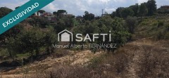 Foto7