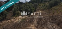 Foto7