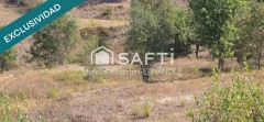 Foto9
