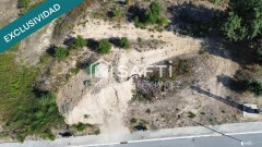 Foto5