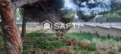 Foto3