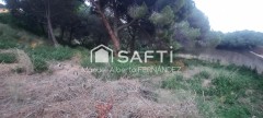 Foto9