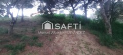 Foto8
