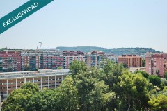 Foto3
