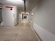 Foto5