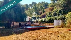 Foto9