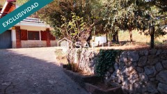 Foto4