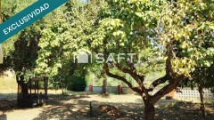 Foto31