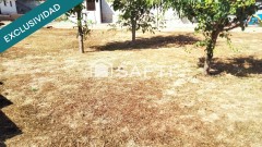 Foto10