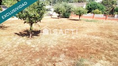 Foto8