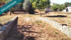 Foto5