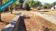 Foto11