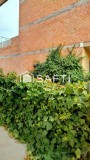 Foto5