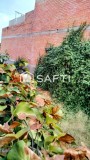 Foto3