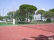Foto8