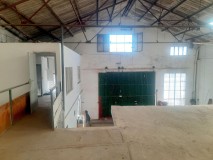 Foto9