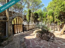 Foto42