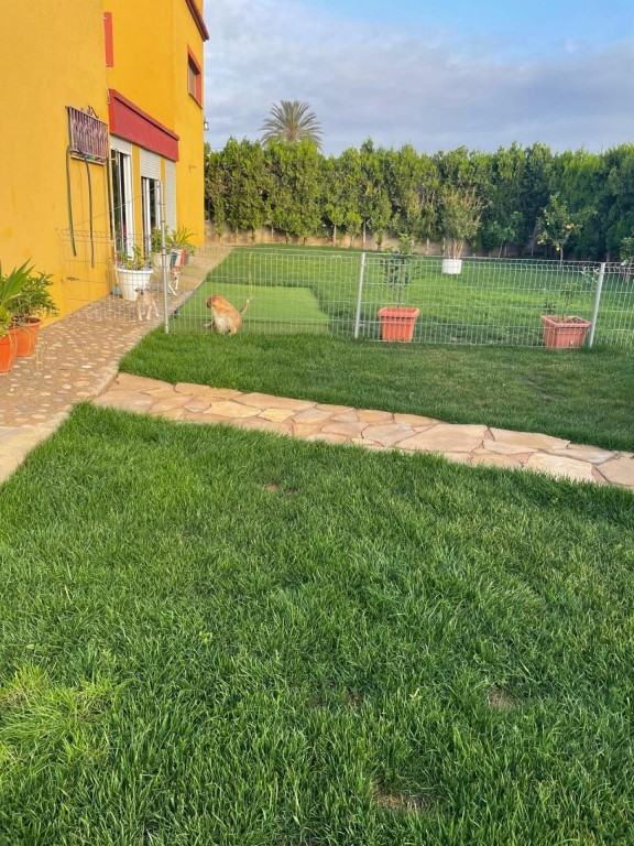 Vive el Mar: Tu Chalet Exclusivo en Benicarló ¡Donde el lujo - foto 10