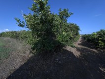 Foto6