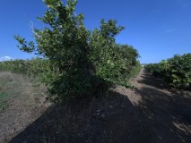 Foto5