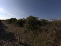 Foto2