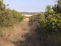 Foto1