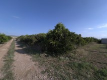 Foto4