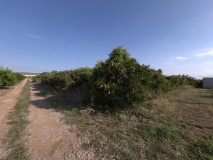 Foto7