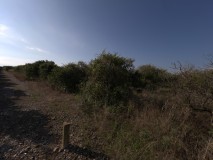 Foto3