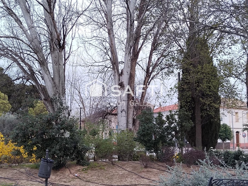 SOLAR O TERRENO URBANO EDIFICABLE. - foto 11