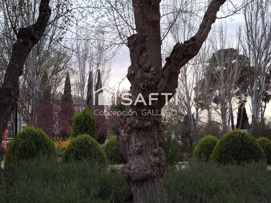 SOLAR O TERRENO URBANO EDIFICABLE. - foto 21